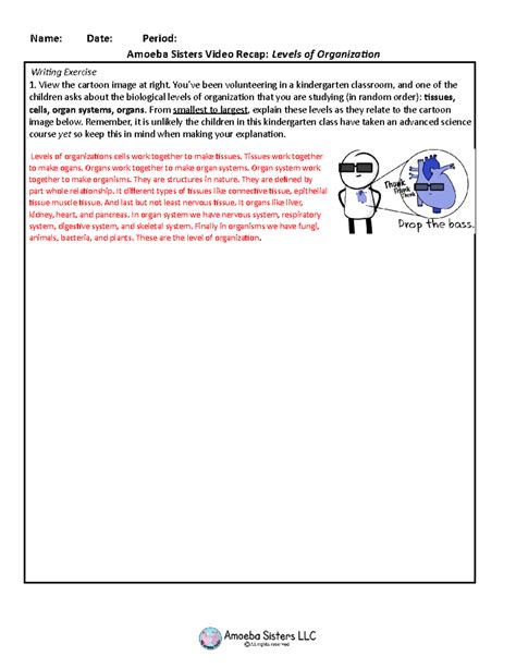 Amoeba Sisters Biological Levels of Organization - Name: Date: Period ...
