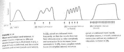 Image result for Wave Summation Graph