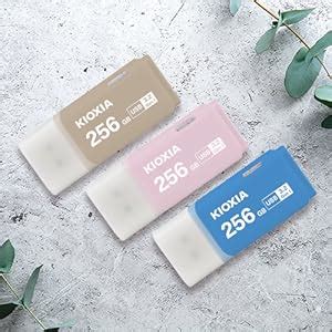 KIOXIA Former Toshiba Memory U301 256GB USB 3.2 Gen 1 Flash Drive ...