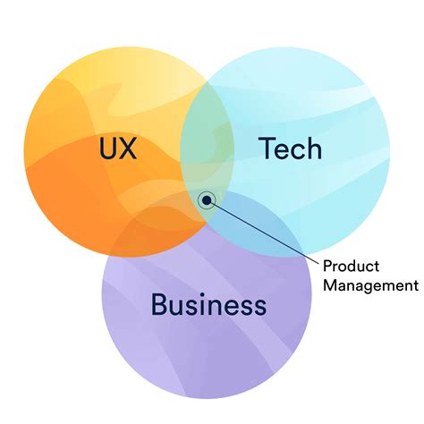 Navigating the Transition to Product Management from a Non-Technical ...