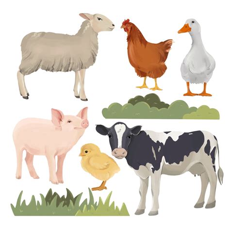 Farm Animals Clipart Pictures