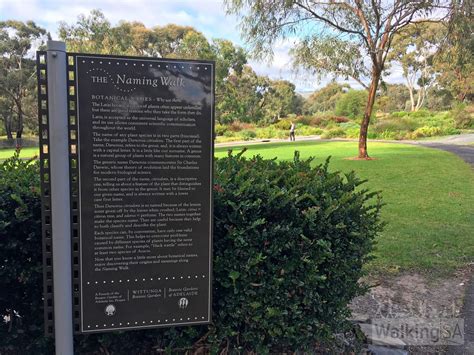 Are Dogs Allowed In Adelaide Botanic Gardens
