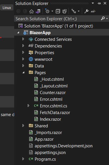 Blazer Tutorial .Net 的图像结果