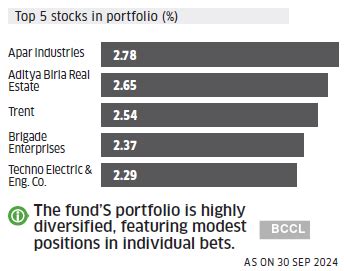 HSBC Small Cap Fund has a highly diversified portfolio; what should ...