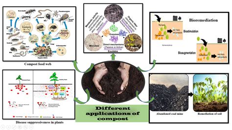 Professor Ajay Kalamdhad : Department of Civil Engineering