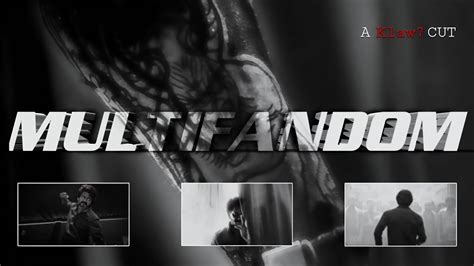 Image result for Multifandom 2015