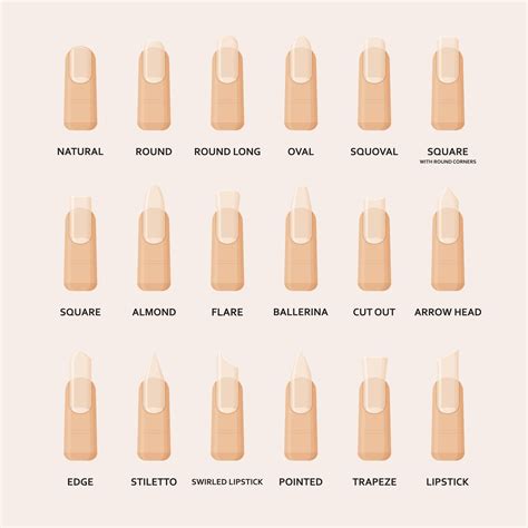 12 Stunning Nail Shapes To Consider Before Your Next Mani Appointment ...