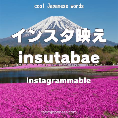 cool japanese words instabae - Team Japanese