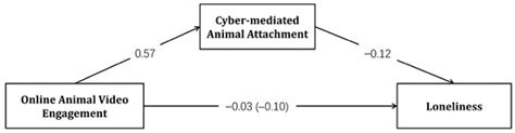 Animals | Special Issue : People and Pets: Factors Affecting the ...