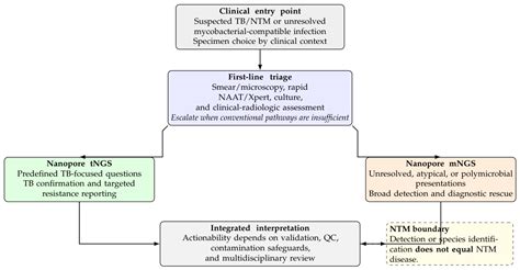 Nanopore Sequencing in Mycobacterial Diagnostics: Clinical and ...