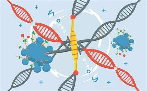 RNA Interference 的图像结果