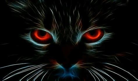 Fake Call From Cat Eye - App on Amazon Appstore