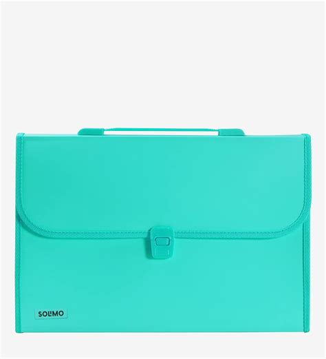 Amazon Brand - Solimo Plastic Expanding File Folder with 13 Pockets ...