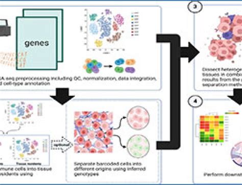 Single-cell RNA-seq 的图像结果