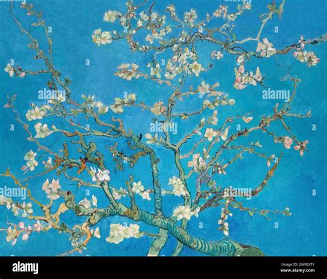 Almond Blossom, Vincent van Gogh, 1890 Stock Photo - Alamy