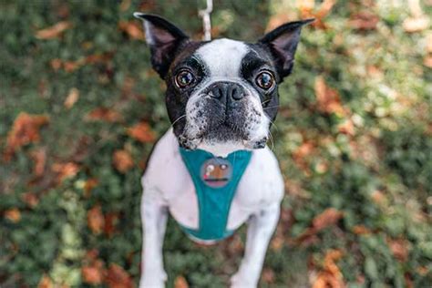 Besplatni antigenski testovi za goste Falkensteiner hotela - Lipadona