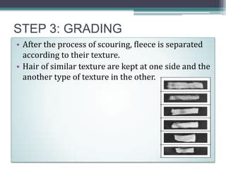 Image result for Processing of Wool Class 7