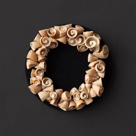 Shell Gallery | Meer