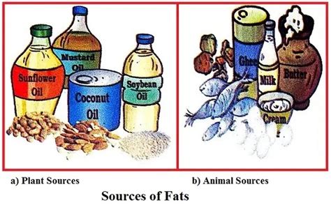 Image result for Components of Food Class 6 Question Answer