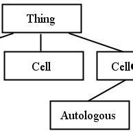 Class Structure with Example 的图像结果