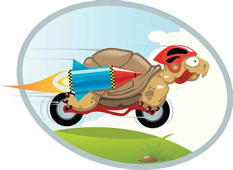 Image result for Speed Turtle Videos