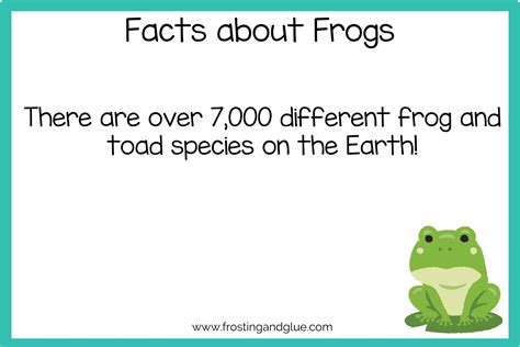 55 Fascinating Facts About Frogs