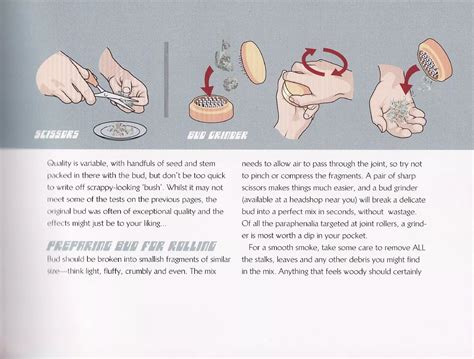 Joint Rolling Tutorial 的图像结果