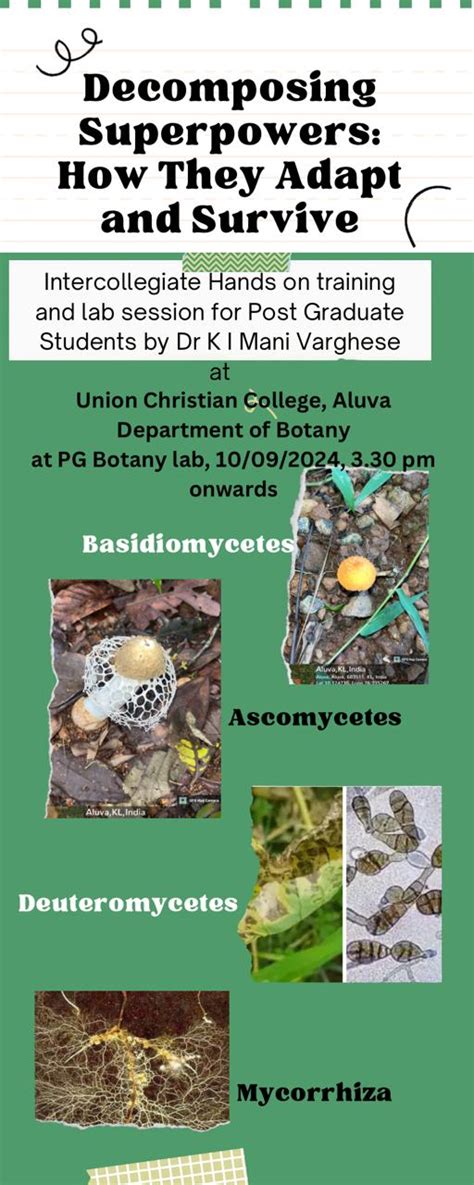 Decomposing super powers: How they adapt and survice - Union Christian ...