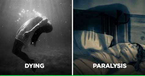 11 Common Dreams We All Experience & What Do They Mean