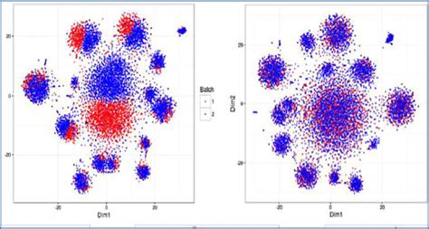 Image result for RNA-Seq Scripts with Sbatch