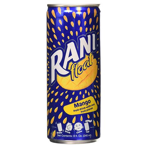 Rani Float Mango Fruit Juice Drink, 100% Fruit Juice Content with Real ...