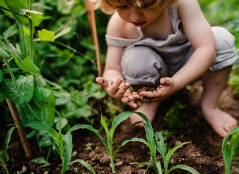 Image result for Borealis Clean Box