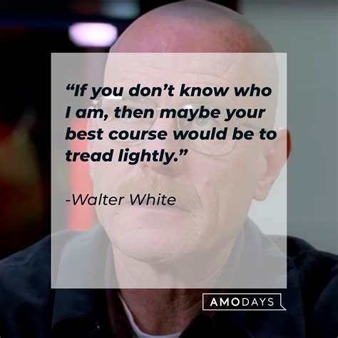 52 Funny 'Breaking Bad' Quotes and Quips from Our Beloved Characters