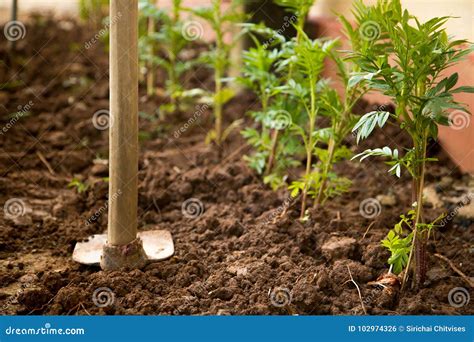 Dig Hole 的图像结果