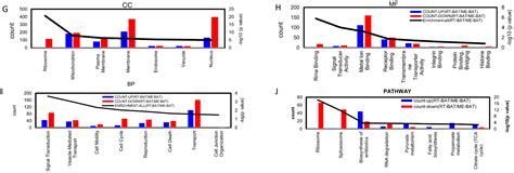 Comprehensive Analysis of the Characteristics and Differences in Adult ...