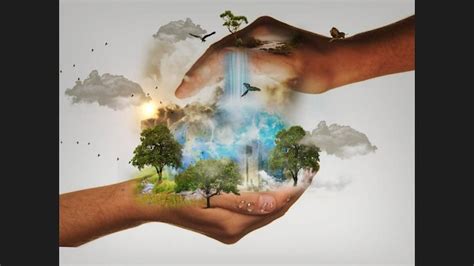 World Nature Conservation Day 2020: Your 5-Point Guide To Preserving ...