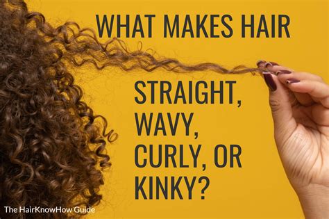 What Makes Hair Straight Hair, Curly Hair, Wavy Hair, or Kinky Hair ...