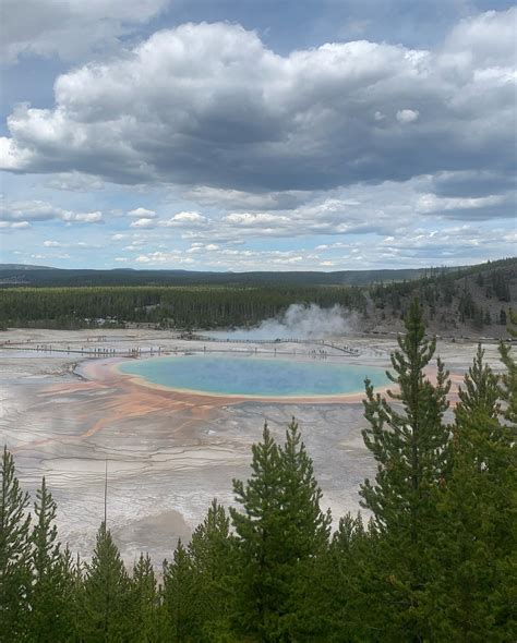 Tessa scarlett | 🦁 | Instagram