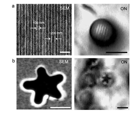 Most Powerful Microscope 的图像结果