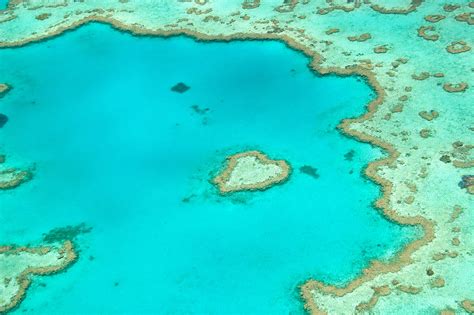 Great Barrier Reef with Heart Reef in Queensland Australia