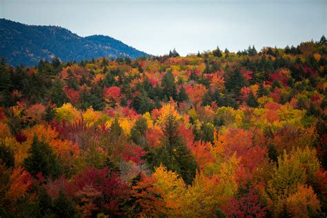 New England has 6 of the best fall foliage road trips