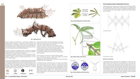 Transformable façade system | CEPT - Portfolio