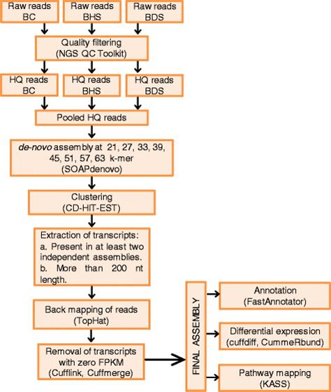 Data Quality Methodology 的图像结果