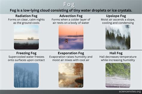 Image result for Types Fog