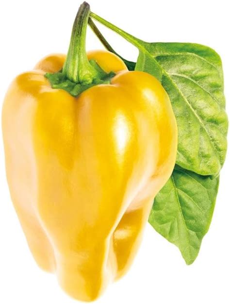 ClickandGrow Click and Grow Smart Garden Yellow Sweet Pepper India | Ubuy