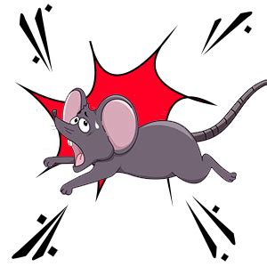 Bluehaven International | 5 PCs Pcs Rat Capsule to Stop Rat and Mice ...