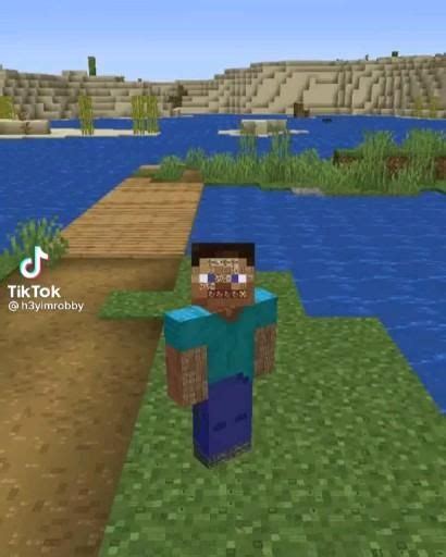Image result for How Do You Go in Third Person in Minecraft Java Edition