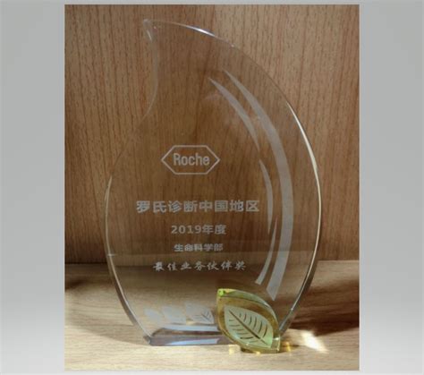 最佳业务合作伙伴奖－资质荣誉－上海东星科技进出口有限公司_一比多
