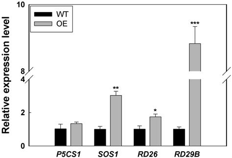 Ectopic Expression of a Salt-Inducible Gene, LcSAIN3, from Sheepgrass ...