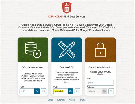 Image result for Install APEX-Oracle